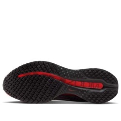 Nike Pegasus Premium - Pour Coureurs Exigeants Recherchant Excellence Performance